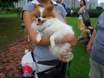 CIMG0051