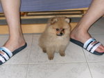 DSCN0681 - 2003.06.07
好悶呀!