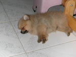 DSCN0693 - 2003.06.08
訓下覺先!