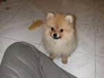 DSCN0709 - 2003.06.27
求下你啦!!
