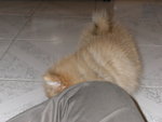 DSCN0711 - 2003.06.27
算,罷就!