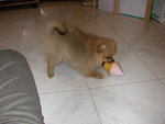DSCN0713 - 2003.06.27
我要食,我要食!!