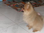 DSCN0717 - 2003.06.28
開飯..