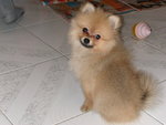 DSCN0719 - 2003.06.28
望咩望呀!!