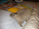 DSCN0721 - 2003.06.28
好味!
