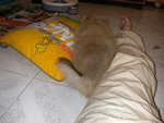 DSCN0722 - 2003.06.28
仲有無??