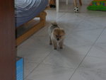DSCN0727 - 2003.07.01
無天理呀,黎左一個月,剪到我咁肉酸...