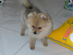 DSCN0731 - 2003.07.01
我唔會再彩你地