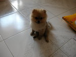 DSCN0733 - 2003.07.01
仲影????