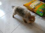 DSCN0735 - 2003.07.01
唉,無面見人...
