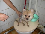 DSCN0942 - 2003.08.01
沖涼照