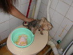 DSCN0947 - 2003.08.01
沖好未呀??