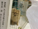 DSCN1307 - 2003.12.13
困住我,打邊爐!