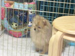 DSCN1316 - 2003.12.13
仲有無???