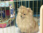 DSCN1317 - 2003.12.13
仲有無呀????