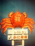 DSC06989