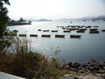 P1000554