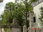 DSC06416