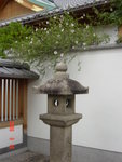 DSC06456