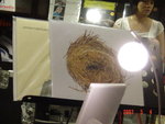 DSC02569