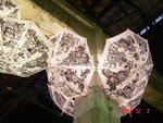 DSC00382