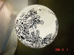 DSC00384