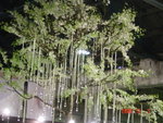 純淨市場裡頭我最喜歡的就是這顆裝飾過的樹啦XD 真的是很漂亮∼∼