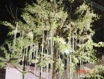 DSC00448