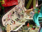 DSC00454