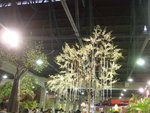 DSC00482