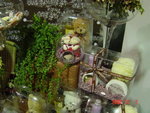 DSC00490