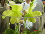 DSC00506