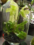 DSC00507