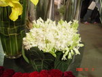DSC00511