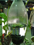 DSC00516