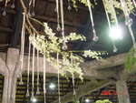DSC00533