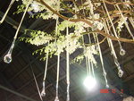 DSC00534