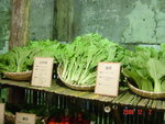 DSC00539