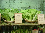 DSC00540