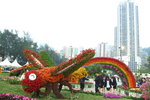 2007香港花卉展覽 048