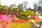 2007香港花卉展覽 082
