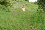20070708-051
