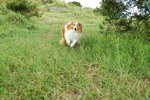 20070708-052