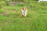 20070708-053