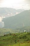 20070708-075