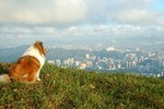 20070708-083