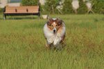20080920_014