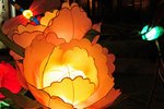 20080921_043
