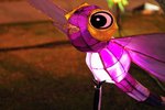 20080921_046