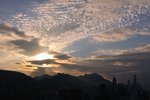 20081109_128